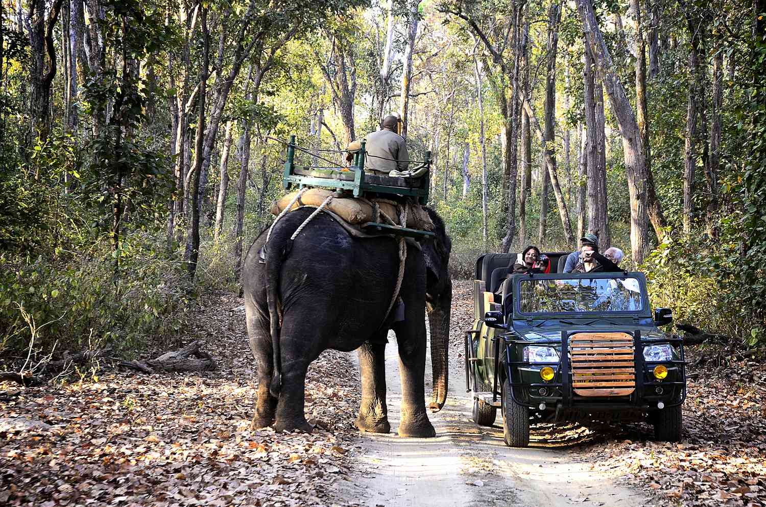 Itinerary Image Two