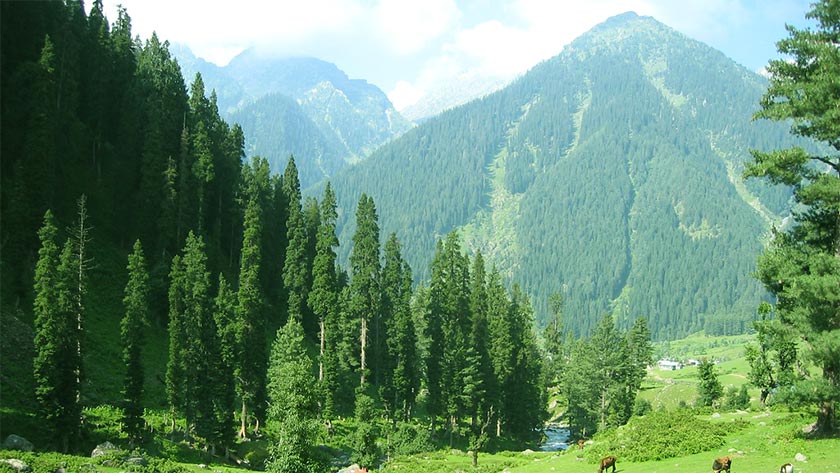 Package Image