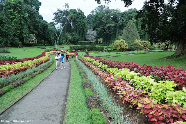Package Image